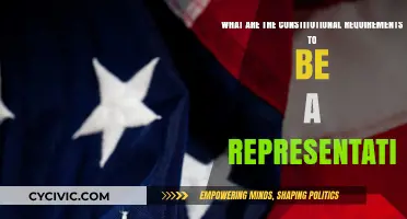 Qualities of a Representative: Constitutional Requirements
