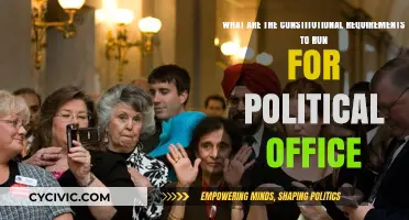Running for Office: Understanding Constitutional Requirements