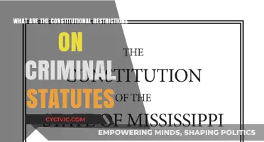 Criminal Statutes: Constitutional Limitations and Their Impact