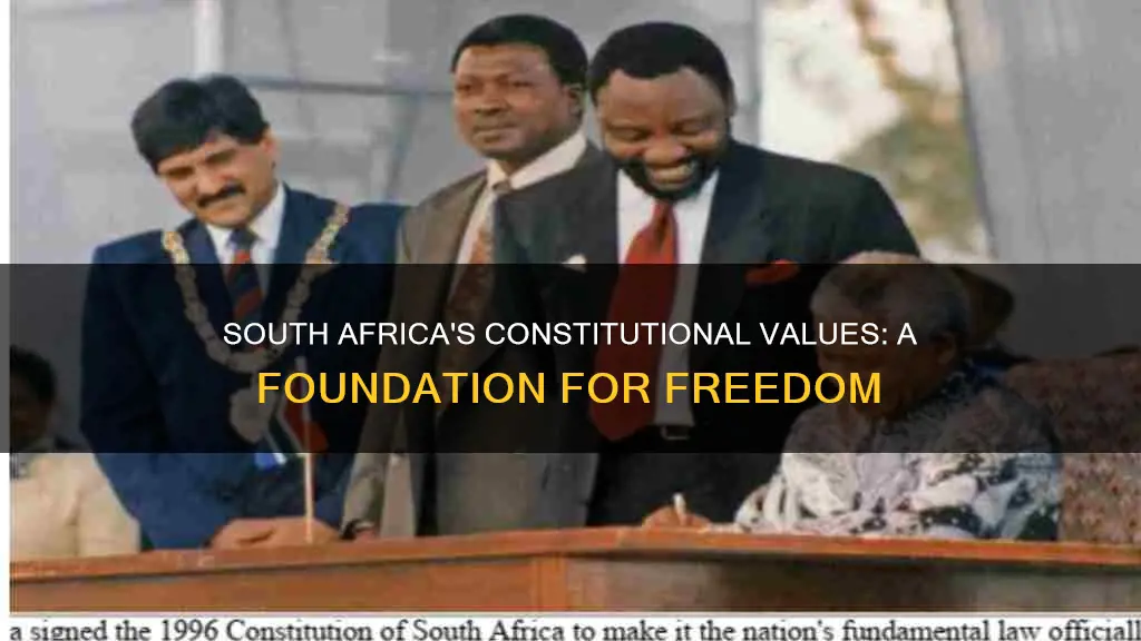 what are the constitutional values of south africa