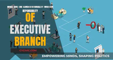 Executive Branch: Constitutional Responsibilities and Duties