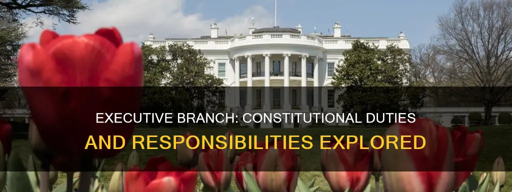 what are the constitutionality written responsibility of executive branch