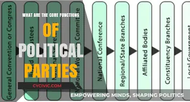 Understanding Political Parties: Their Core Functions and Roles in Democracy