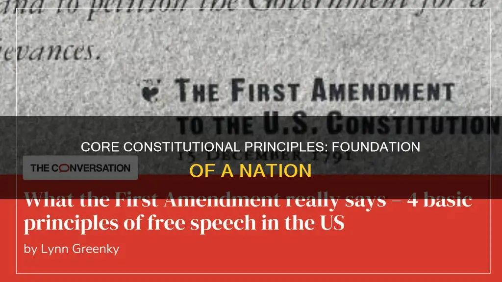 what are the core principles of the constitution