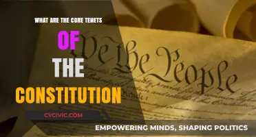 Foundations of Freedom: Core Constitutional Tenets