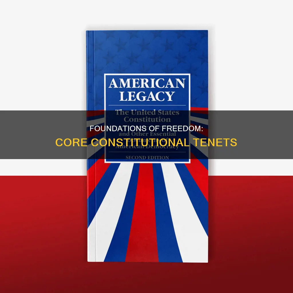 what are the core tenets of the constitution