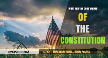 Foundations of Freedom: Core Constitutional Values