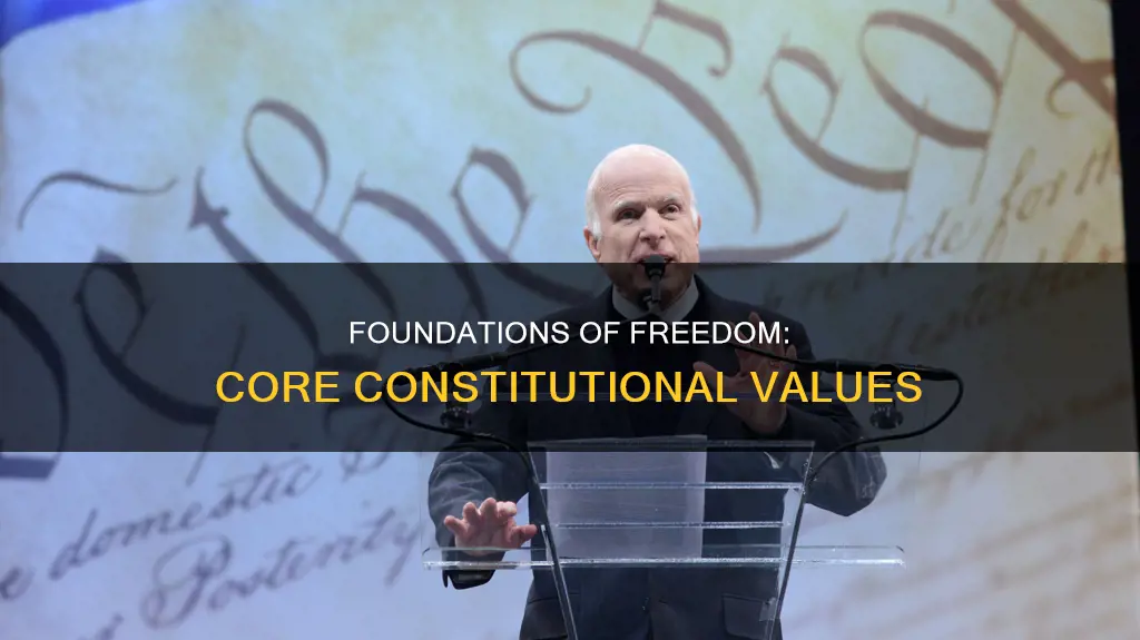 what are the core values of the constitution