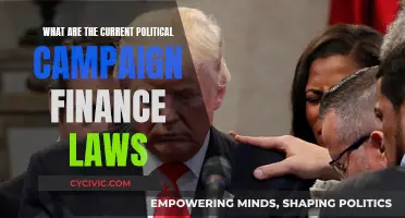 Understanding Political Campaign Finance Laws Today