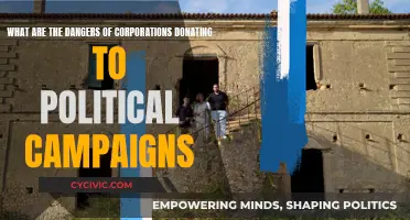 Corporate Political Donations: A Dangerous Game