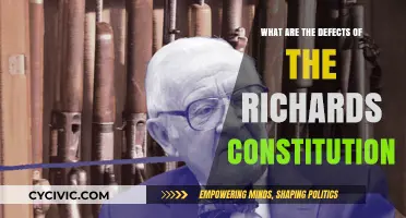 Richard's Constitution: Flaws and Defects