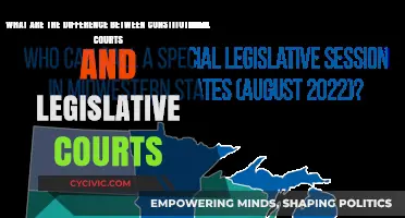 Constitutional vs Legislative Courts: Understanding the Key Differences