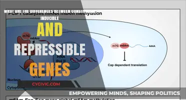 Inducible, Repressible, and Constitutive Genes: Understanding the Differences