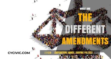 Amendments: Our Rights and Freedoms