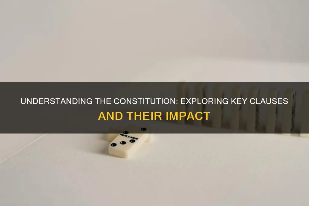 what are the different clauses in the constitution