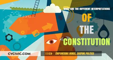 Exploring Diverse Interpretations of the Constitution