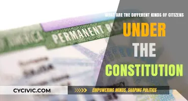 Understanding Varied Citizenship Rights and Responsibilities