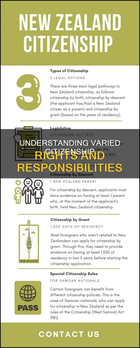 what are the different kinds of citizens under the constitution
