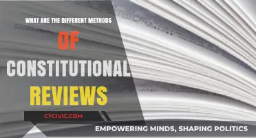 Methods of Constitutional Review: Exploring Different Approaches