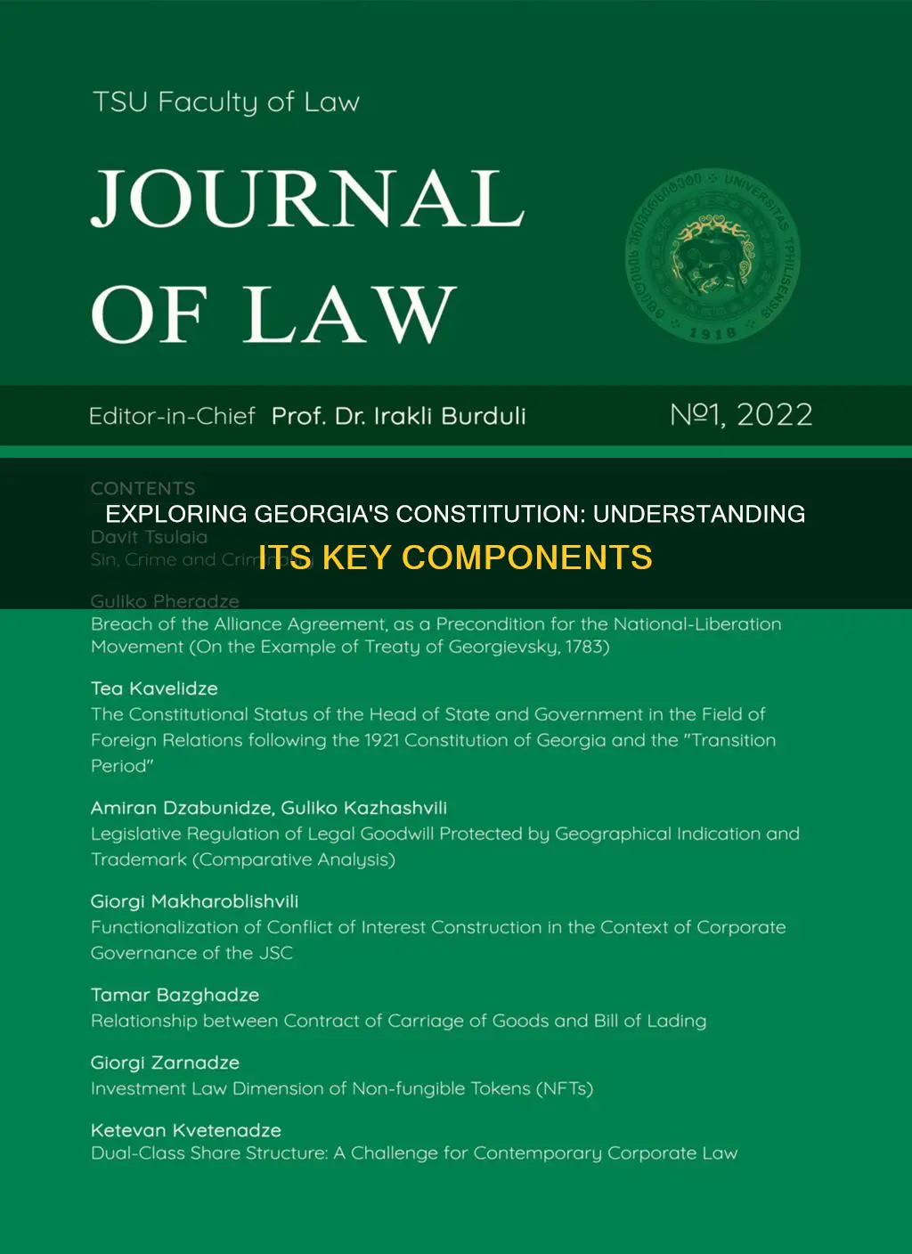 what are the different parts of the ga constitution