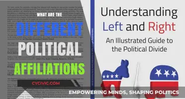 Exploring the Spectrum: A Guide to Political Affiliations