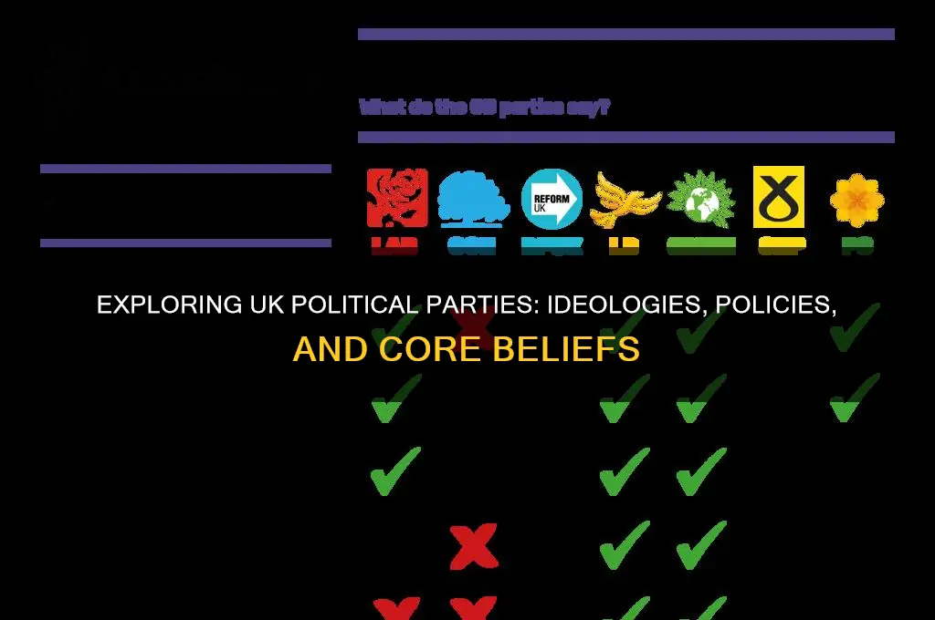 what are the different political parties and their views uk