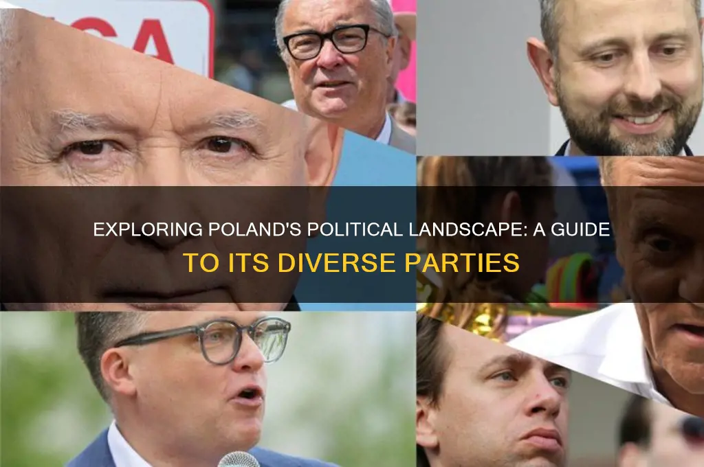 what are the different political parties in poland