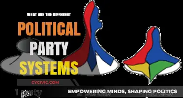 Exploring Diverse Political Party Systems: Structures, Functions, and Global Variations