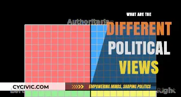 Exploring the Spectrum: A Guide to Diverse Political Views