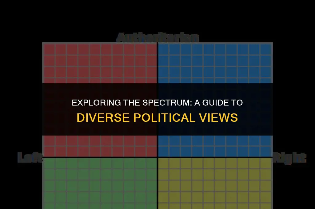 what are the different political views