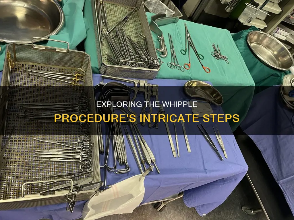what are the different procedures that constitute a whipple procedure