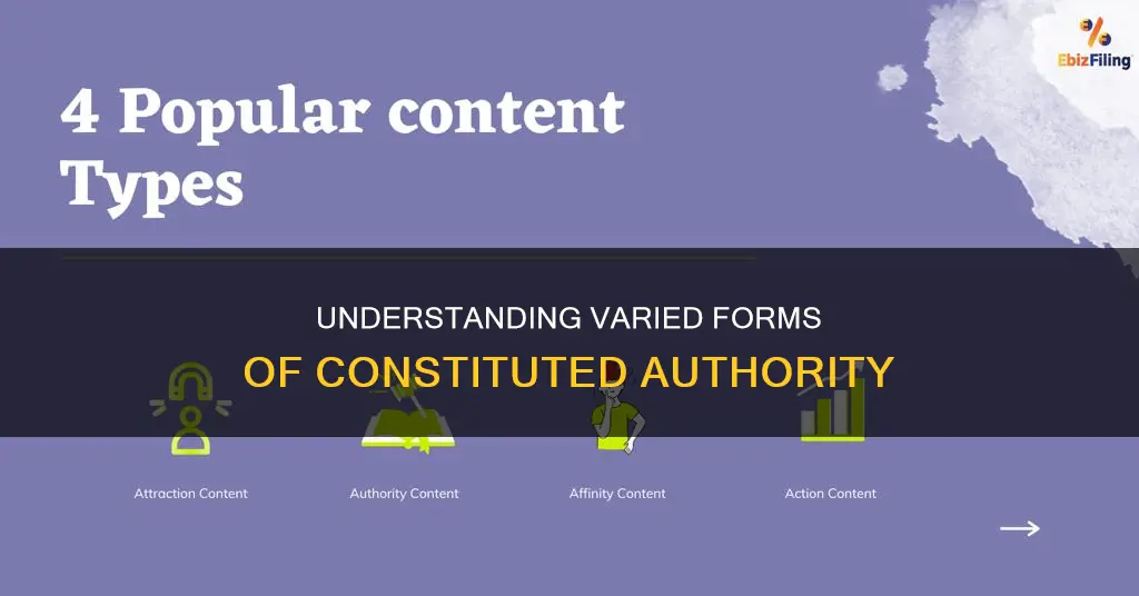what are the different types of constituted authority