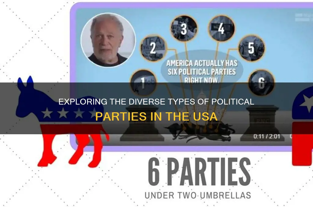 what are the different types of political parties inusa