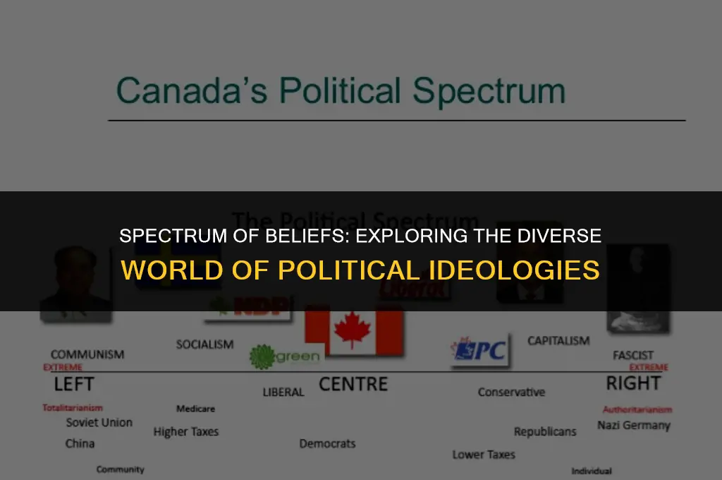 what are the different views of political ideologies