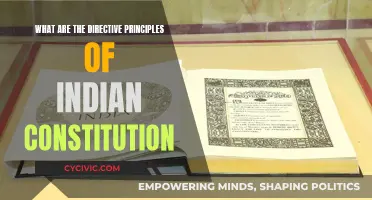 The Directive Principles: India's Constitutional Guideposts