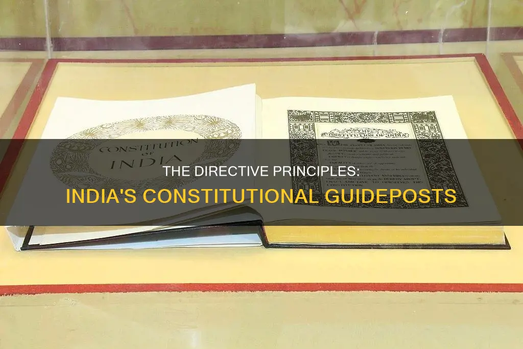 what are the directive principles of indian constitution