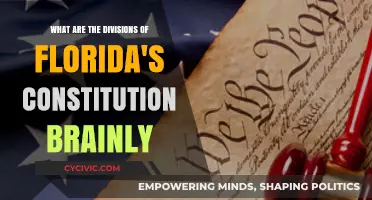 Florida's Constitution: Exploring the Divisions