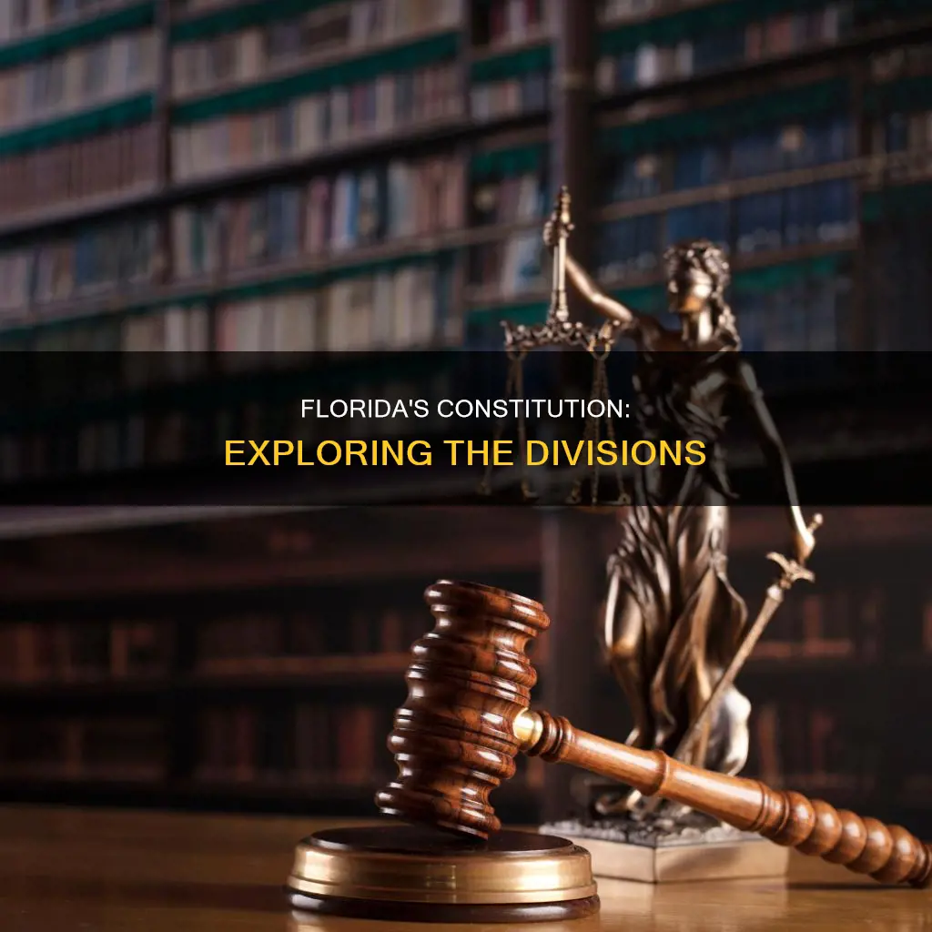 what are the divisions of florida