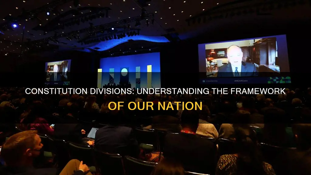 what are the divisions of the constitution called