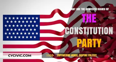 Constitution Party's Domestic Issues: What Are They?
