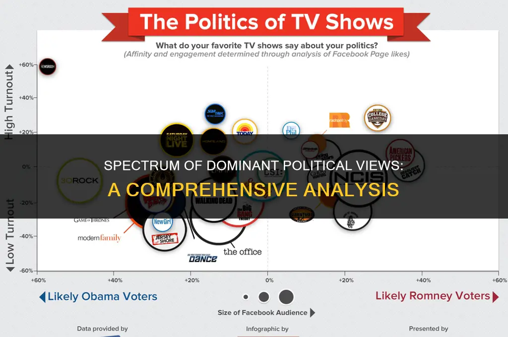 what are the dominant political views