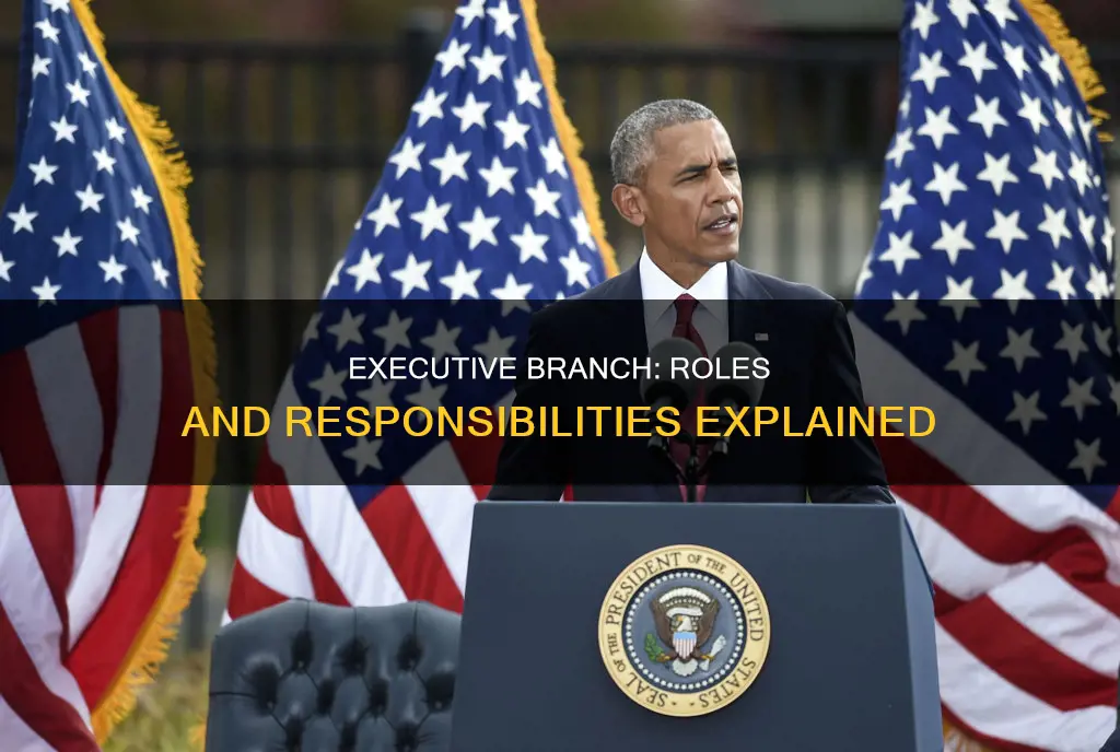 what are the duties and responsibilities of the executive branch