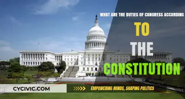 Exploring Congress' Constitutional Duties and Responsibilities