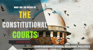 Exploring the Duties of Constitutional Courts