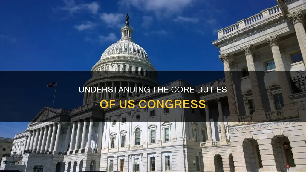 what are the duties of the us congress