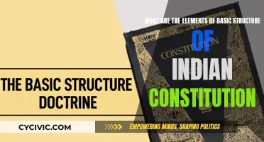 The Basic Framework of India's Constitution