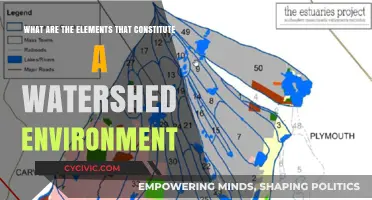 Watersheds: Key Elements of a Healthy Aquatic Environment