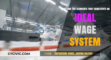 Key Elements of an Ideal Wage System