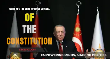 The Constitution: For the People, by the People