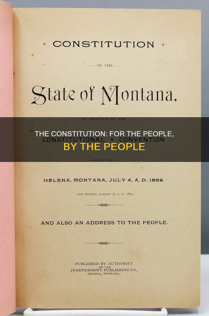 what are the ends purpose or goal of the constitution